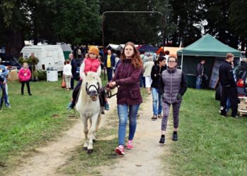 Lazdijų krašte duzgė tūkstančiai bitininkų