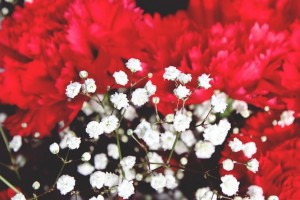 cloves-1307648_1280