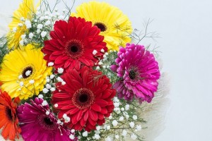 flowers-2037783_1280