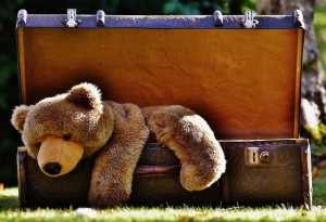 luggage-1650174_960_720