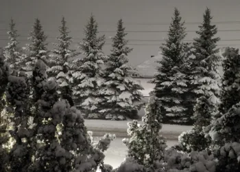 Per Lietuvą slenka sniego ciklonas – pietiniuose rajonuose sniego storis siekia 20 cm ir daugiau