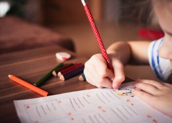 Pedagogų ir vaiko teisių gynėjų siekis – bendradarbiaujant spręsti vaiko teisių pažeidimus