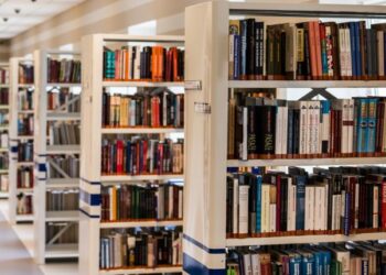 Į bibliotekas ne tik knygų: šiemet 30 tūkst. gyventojų bibliotekose mokėsi IT paslapčių