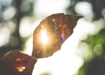 2019 m. Lietuvoje šilčiausi per visą meteorologinių stebėjimų istoriją
